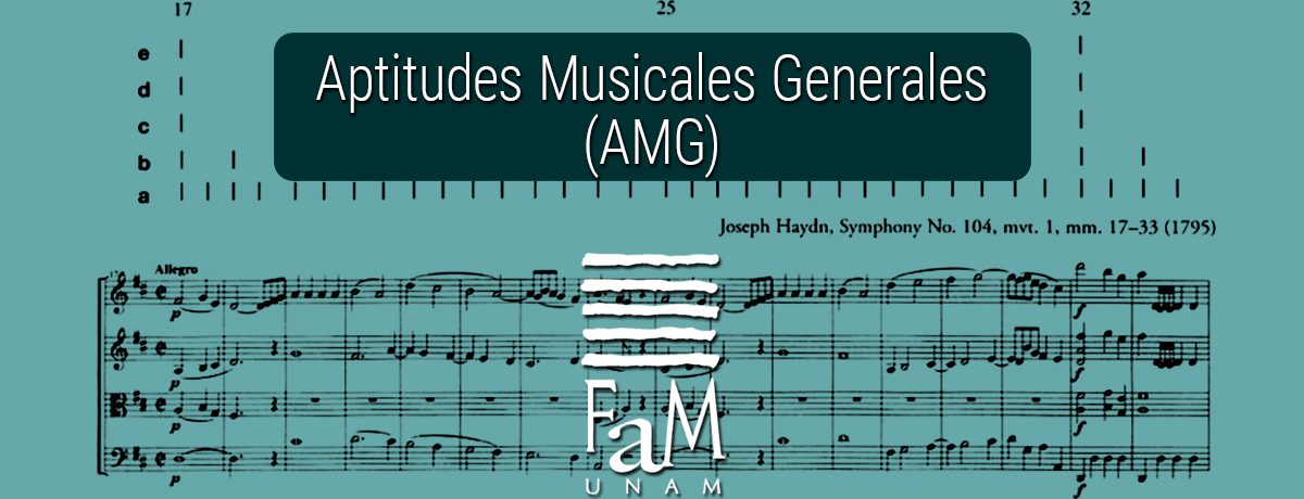 aptitudes-musicales-generales-amg-fam-2