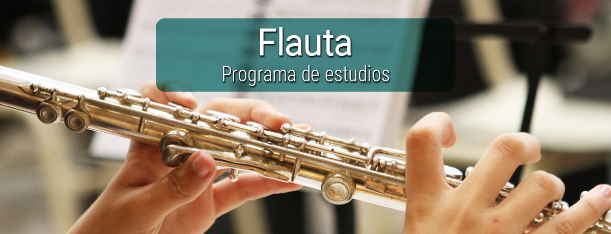 cursos-profesionales-flauta